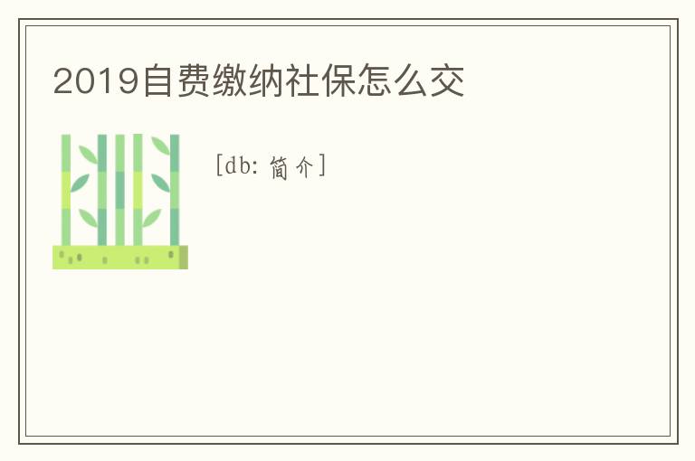 2019自費繳納社保怎么交