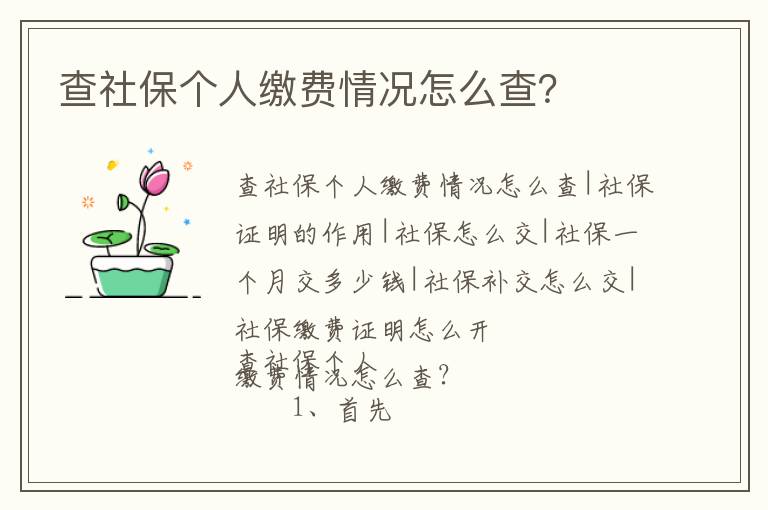 查社保個(gè)人繳費(fèi)情況怎么查？