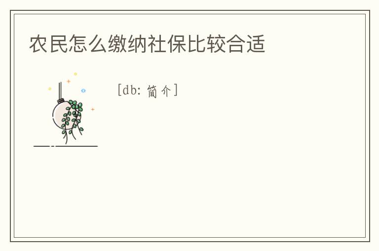 農(nóng)民怎么繳納社保比較合適