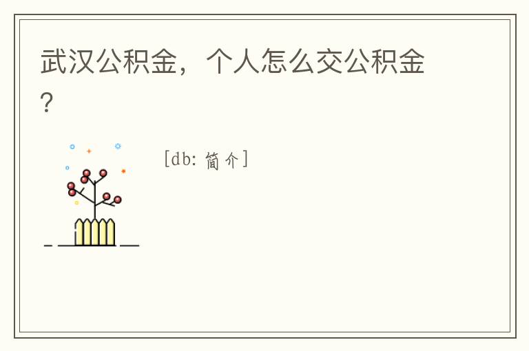 武漢公積金，個人怎么交公積金？