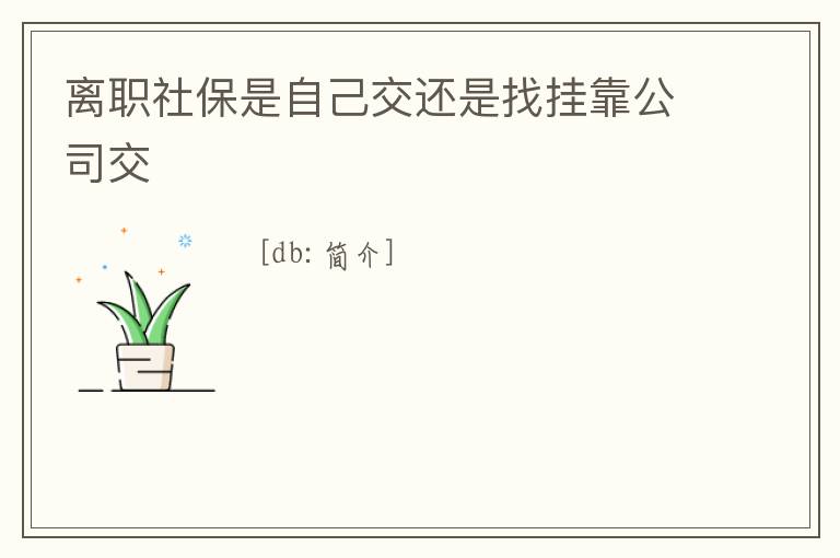 離職社保是自己交還是找掛靠公司交