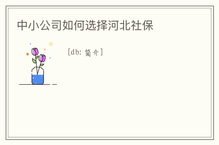 中小公司如何選擇河北社保