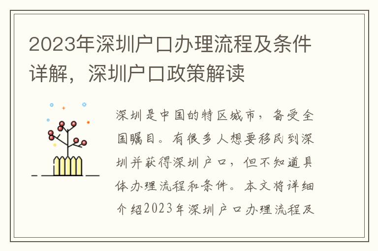 2023年深圳戶口辦理流程及條件詳解，深圳戶口政策解讀