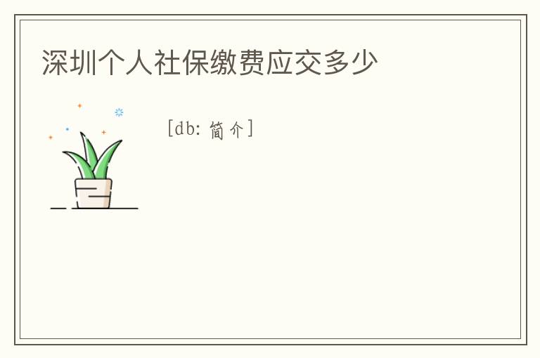 深圳個人社保繳費應交多少