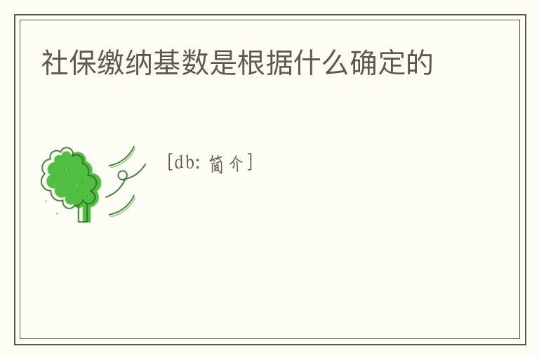 社保繳納基數(shù)是根據(jù)什么確定的