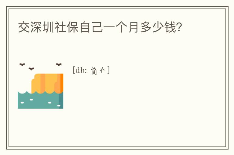 交深圳社保自己一個月多少錢？