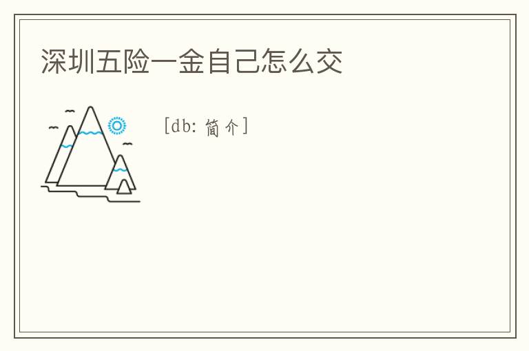 深圳五險一金自己怎么交