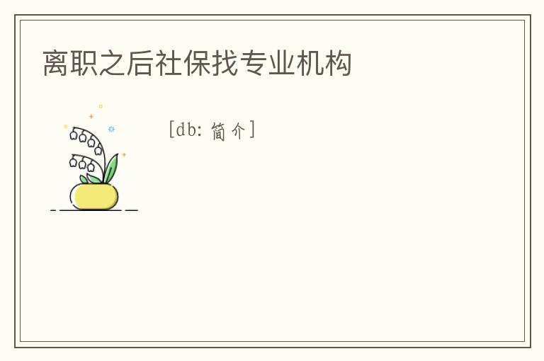 離職之后社保找專業(yè)機(jī)構(gòu)