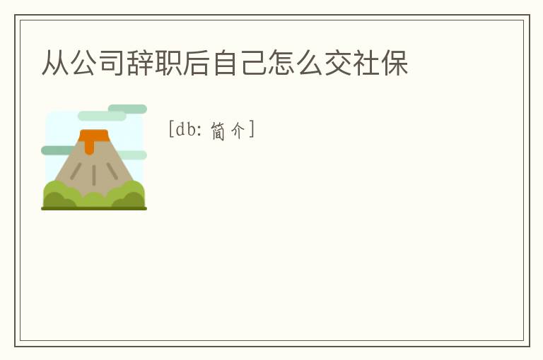 從公司辭職后自己怎么交社保