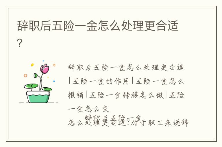 辭職后五險(xiǎn)一金怎么處理更合適？