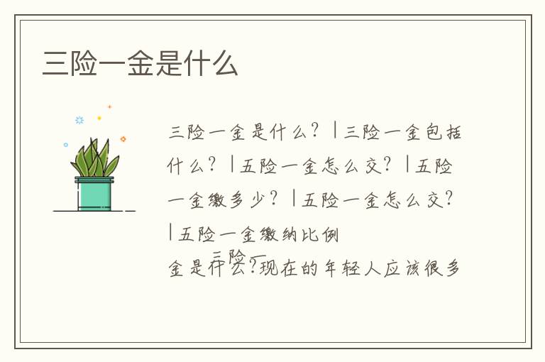 三險一金是什么