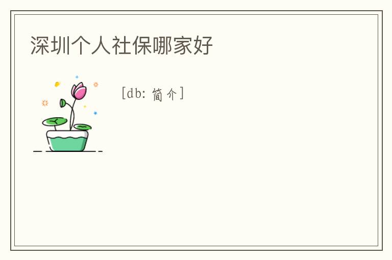 深圳個人社保哪家好