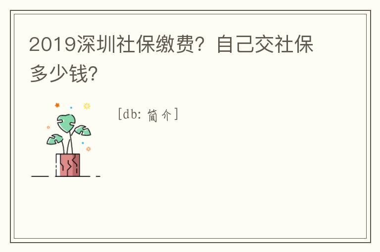 2019深圳社保繳費？自己交社保多少錢？