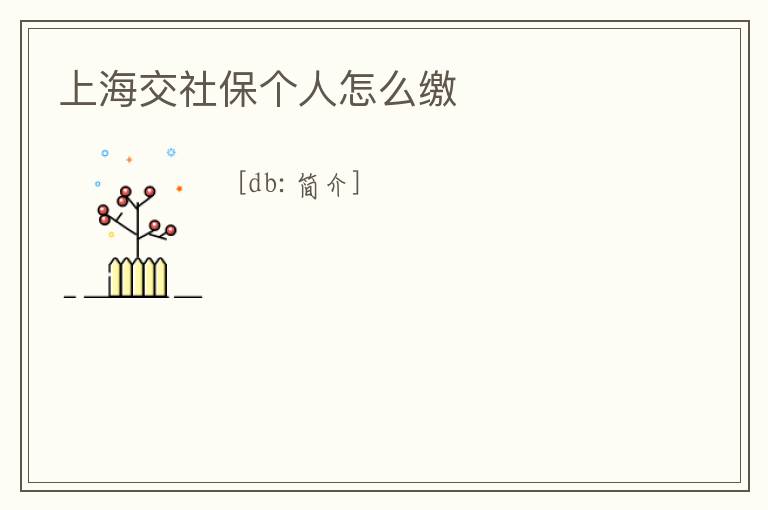 上海交社保個人怎么繳