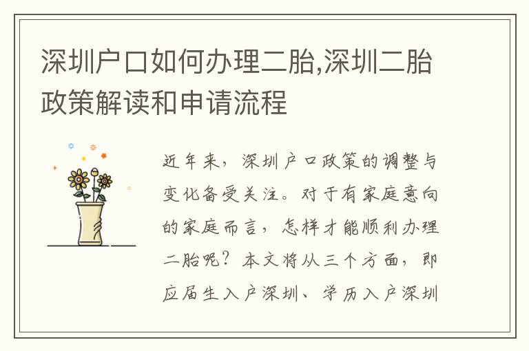 深圳戶口如何辦理二胎,深圳二胎政策解讀和申請流程