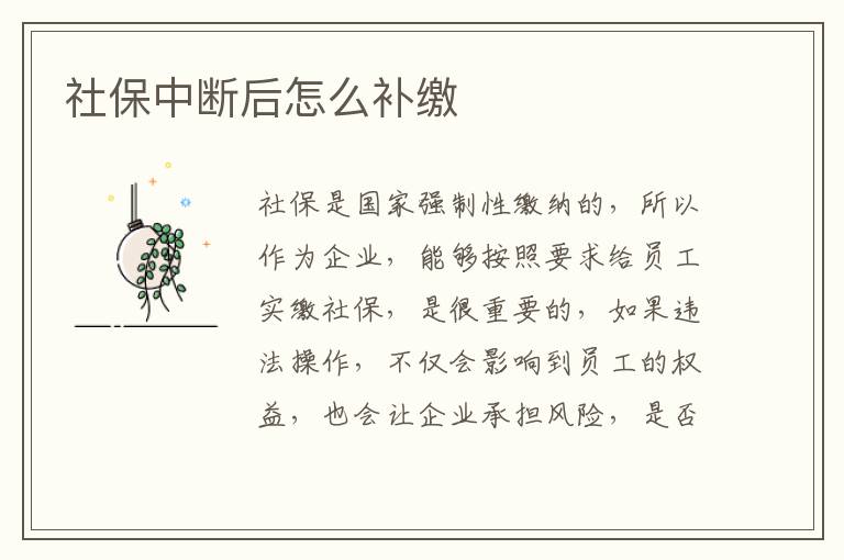 社保中斷后怎么補(bǔ)繳