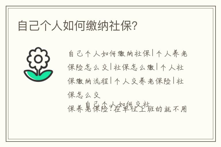 自己個人如何繳納社保？