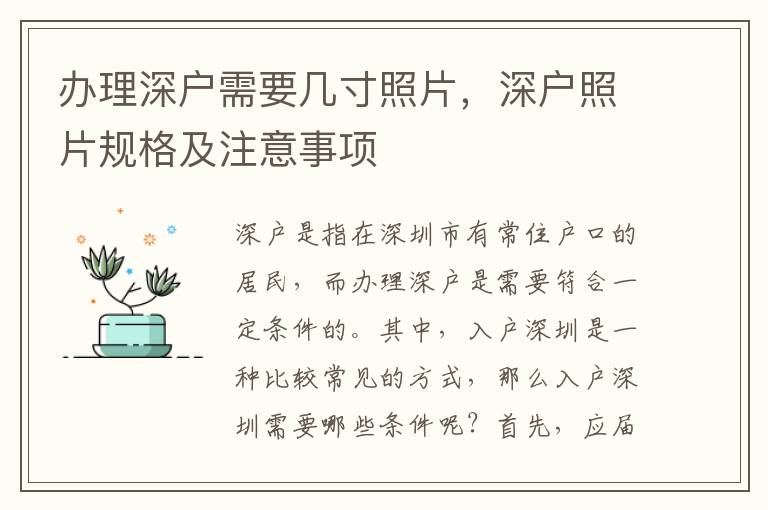 辦理深戶需要幾寸照片，深戶照片規格及注意事項