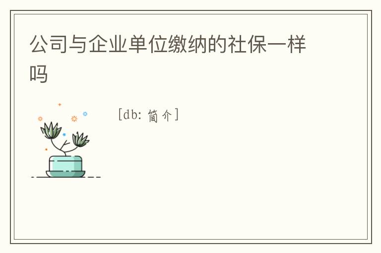 公司與企業(yè)單位繳納的社保一樣嗎