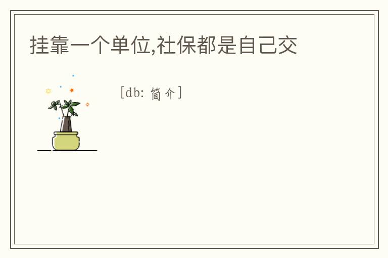 掛靠一個單位,社保都是自己交