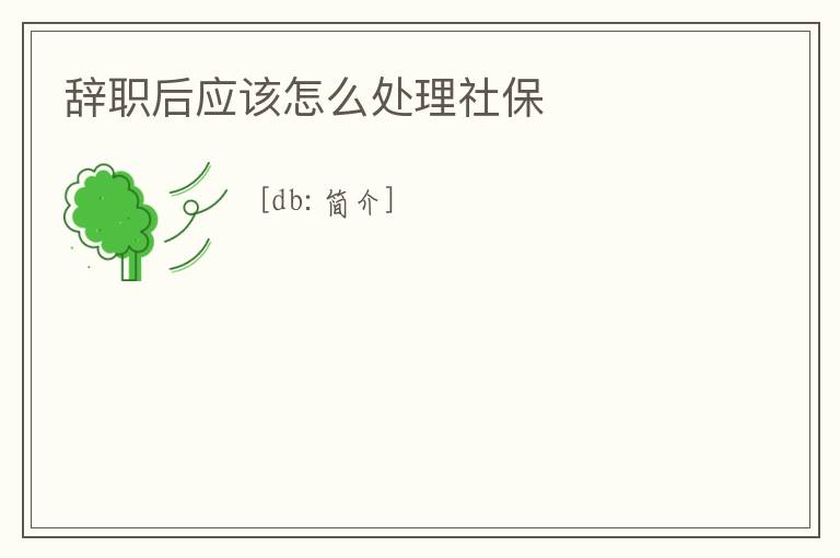 辭職后應(yīng)該怎么處理社保