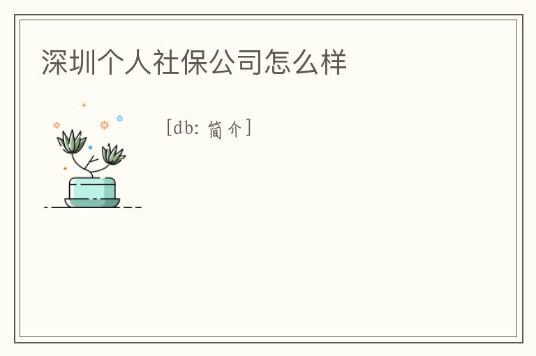 深圳個人社保公司怎么樣