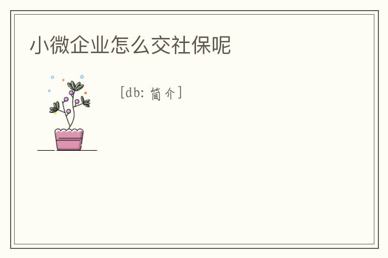 小微企業怎么交社保呢