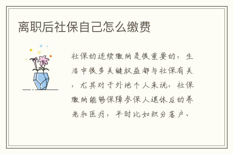 離職后社保自己怎么繳費