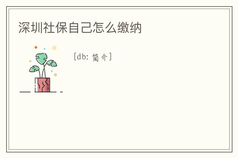 深圳社保自己怎么繳納