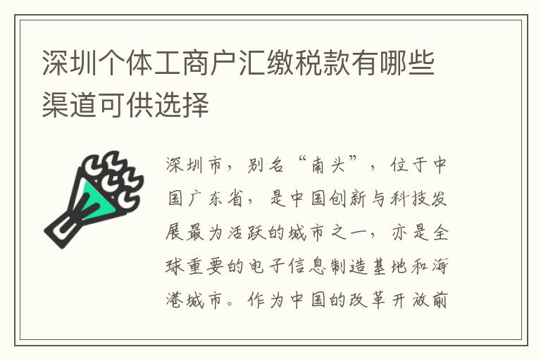 深圳個(gè)體工商戶匯繳稅款有哪些渠道可供選擇