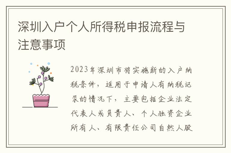 深圳入戶個人所得稅申報流程與注意事項